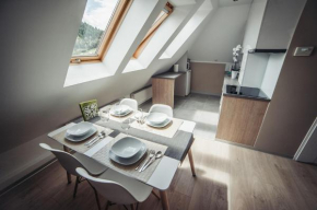  Post Apart - Apartamenty przy Jaworzynie  Крыница Здруй